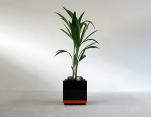 Large square Plexi Planter circa 1970