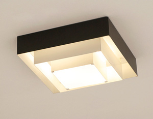 Raak Ziggurat industrial ceiling lamp